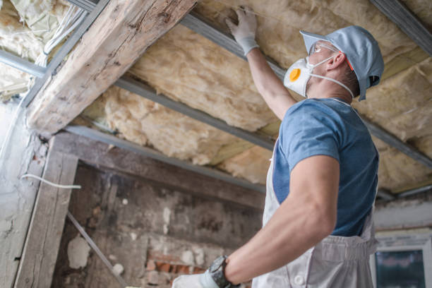 Professional Insulation Contractor in MN